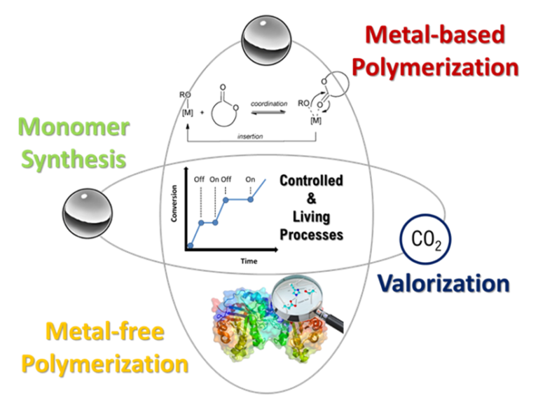 Macromolecular engineering: green processes and CO₂ valorisation — diagram